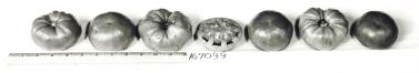 Click for 1 image(s) for this accession. FRUIT